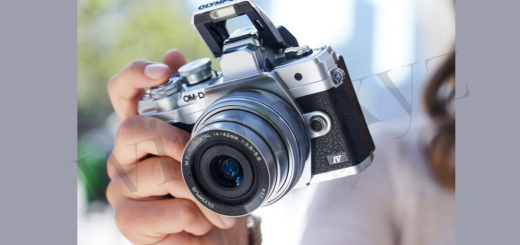 Olympus Cameras and Lenses: Exploring High-Quality Photography Gear for Every Photographer