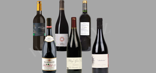 French Wine: A Journey Through the Heart of Elegance and Tradition